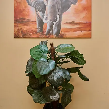 Neon Guest Pensión 3*